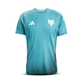 Camisa Cruzeiro Treino II 25/26 Adidas - Torcedor