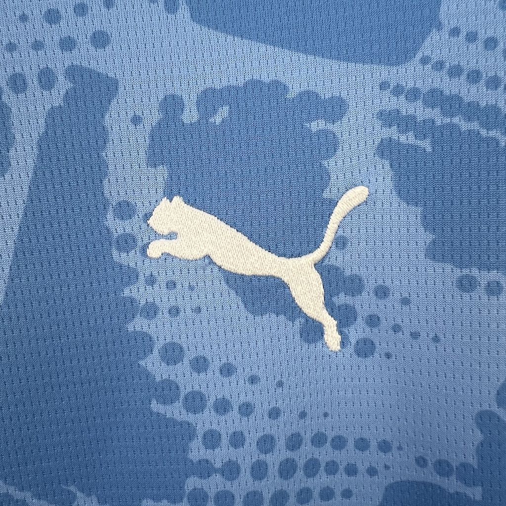 Camisa Palmeiras Goleiro I 25/26 Puma - Torcedor