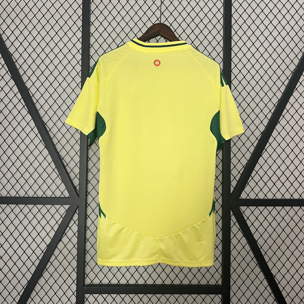 Camisa País de Gales Away 24/25 - Adidas Torcedor Masculina Lançamento