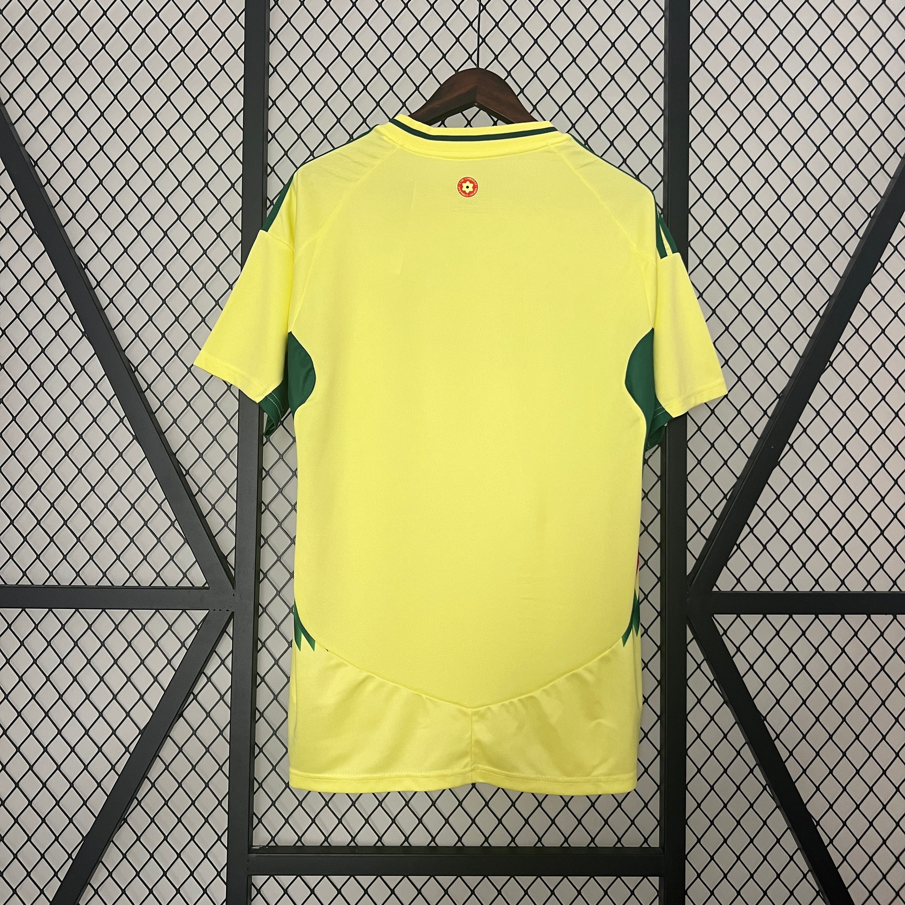 Camisa País de Gales Away 24/25 - Adidas Torcedor Masculina Lançamento