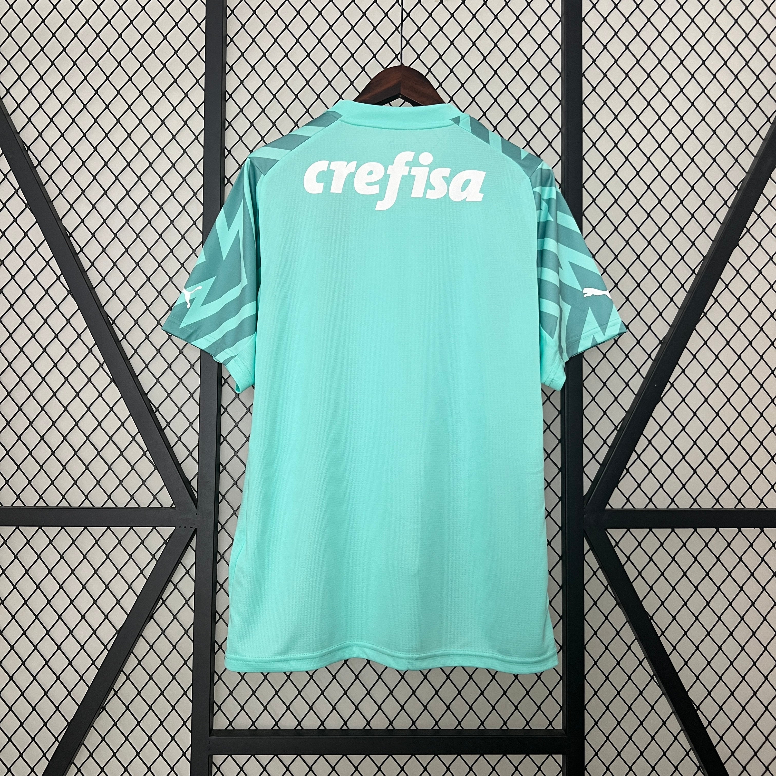 Camisa Palmeiras Goleiro 24/25 Puma - Torcedor