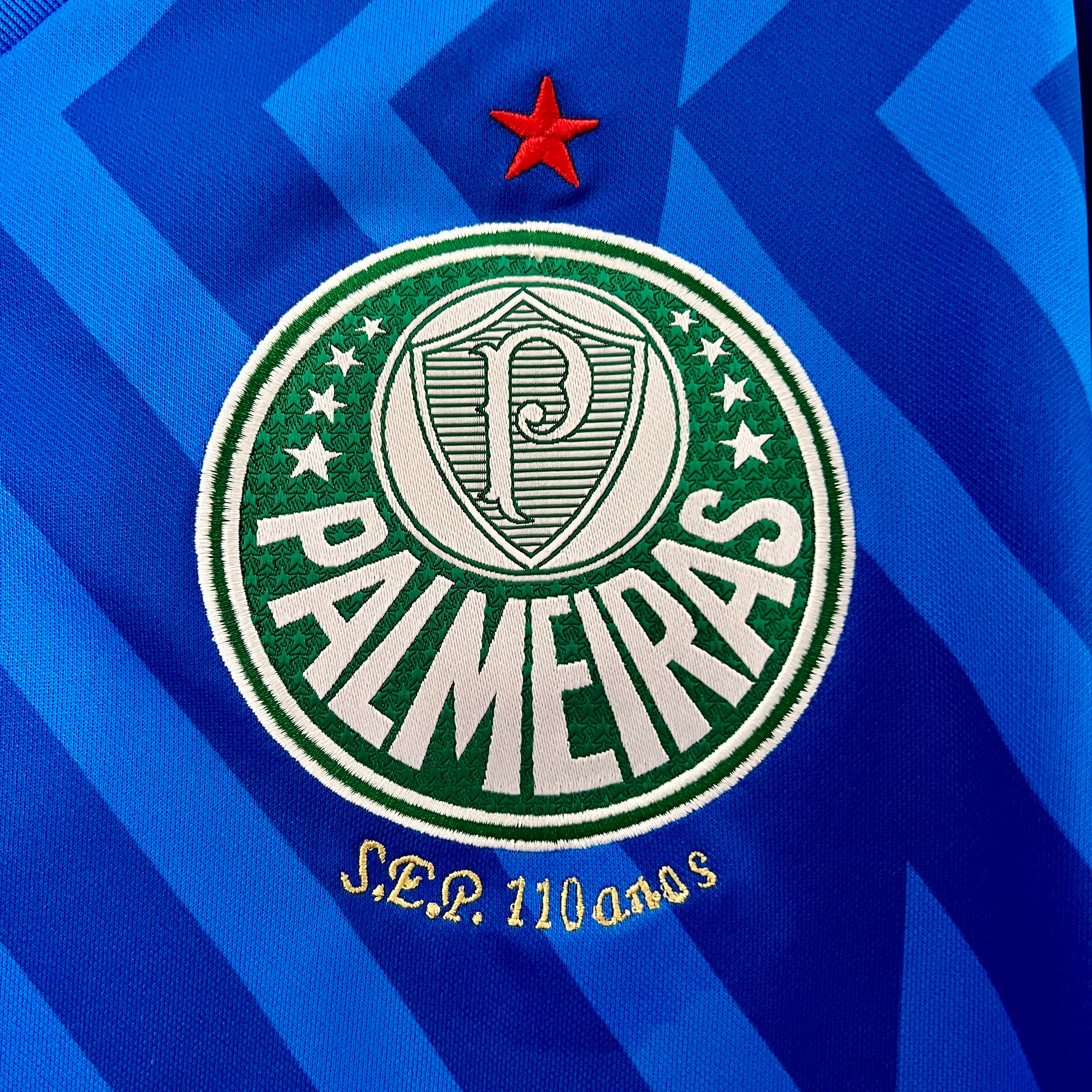 Camisa Palmeiras Goleiro 24/25 Puma - Torcedor