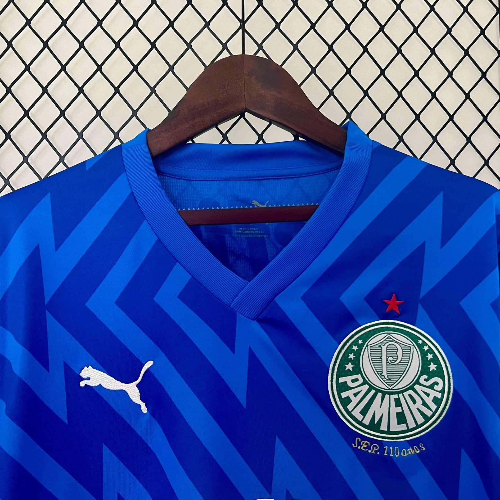 Camisa Palmeiras Goleiro 24/25 Puma - Torcedor