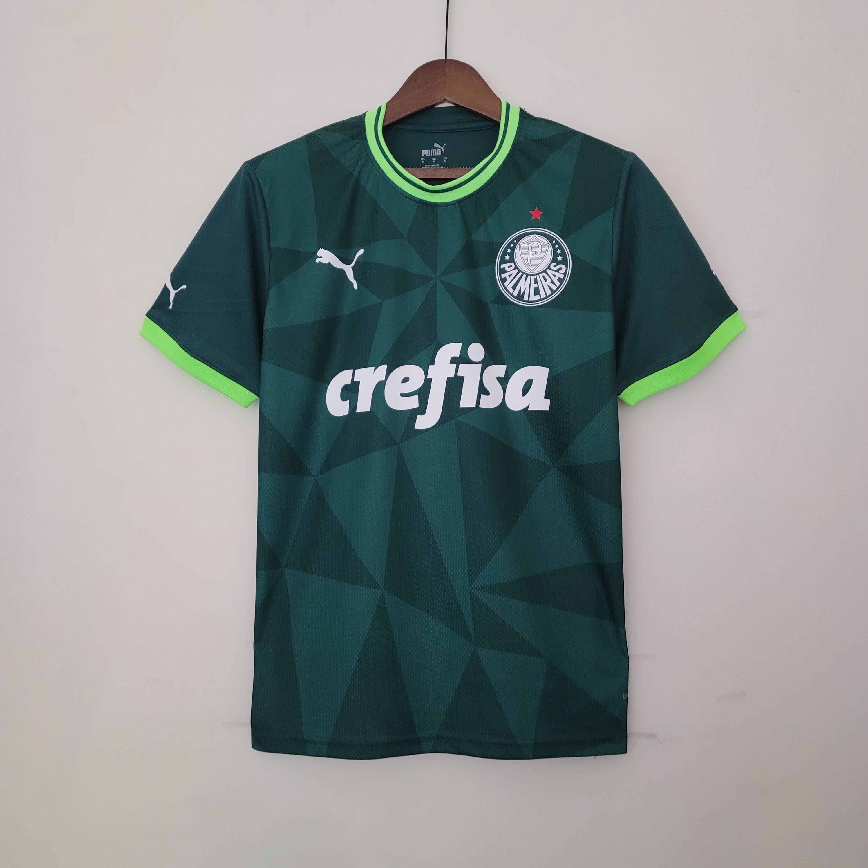 Camisa Palmeiras Titular 23/24 - Puma Torcedor Masculina