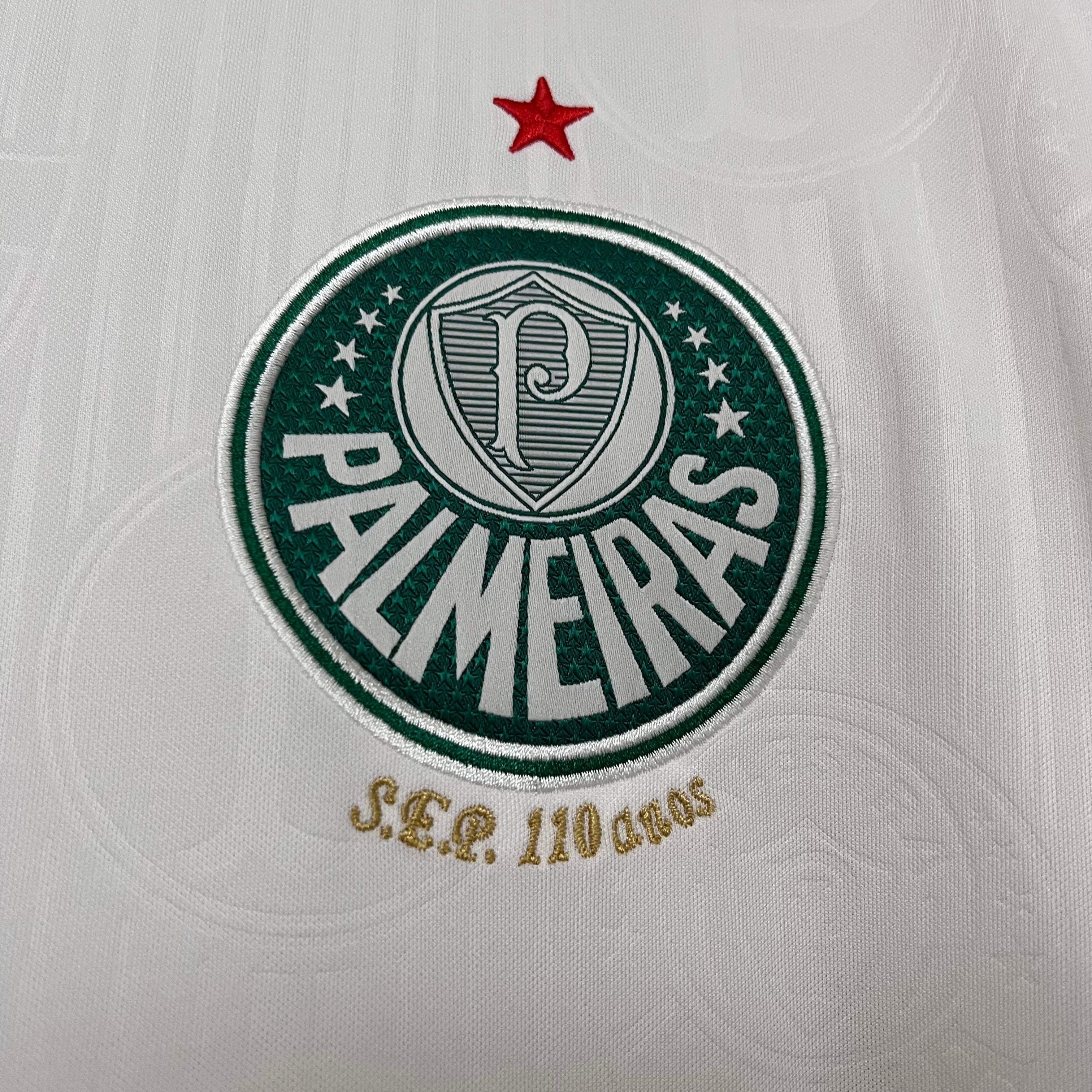 Camisa Palmeiras Reserva 24/25 - Puma Torcedor - Masculina