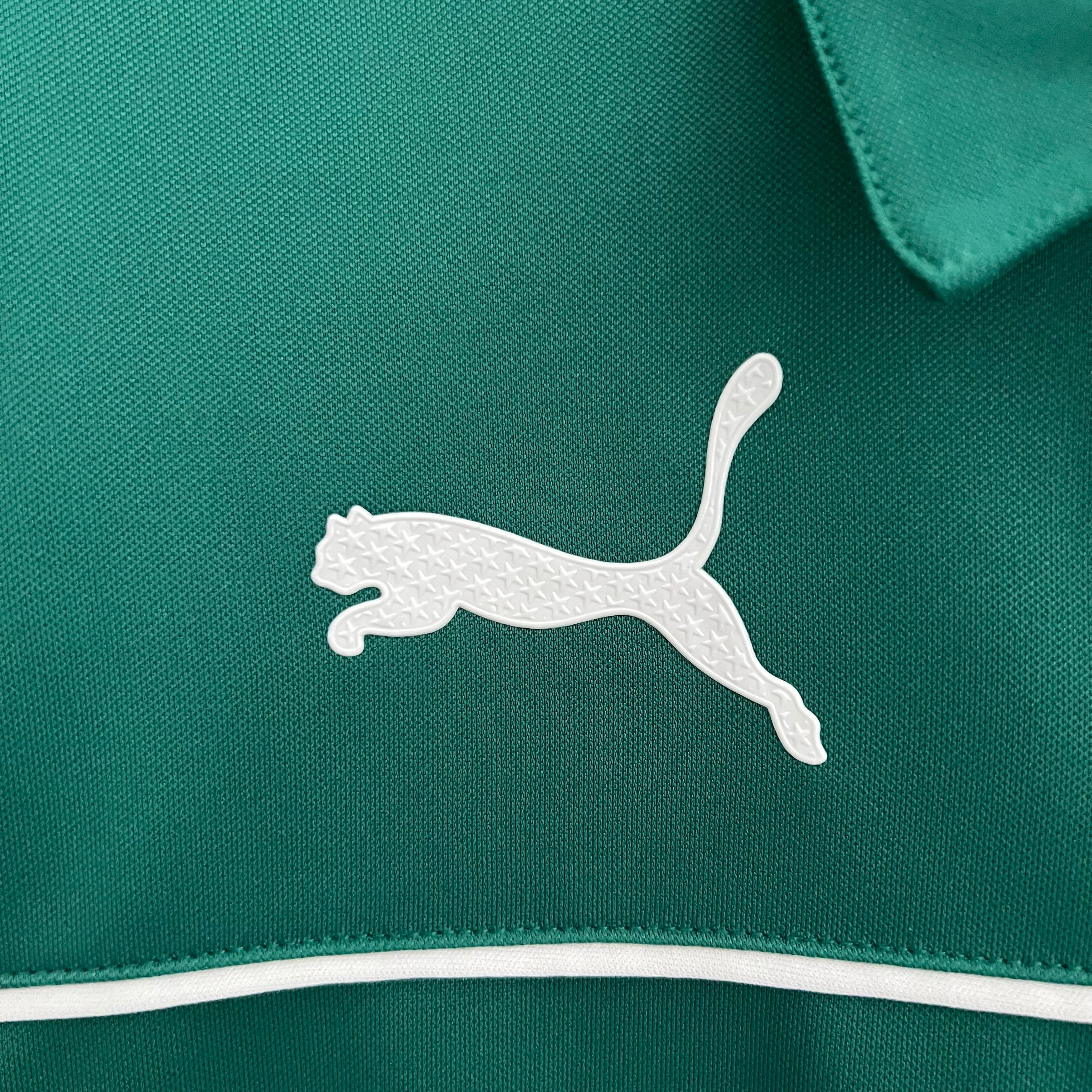 Camisa Palmeiras Edição Especial 23/24 Puma - Polo com Botão