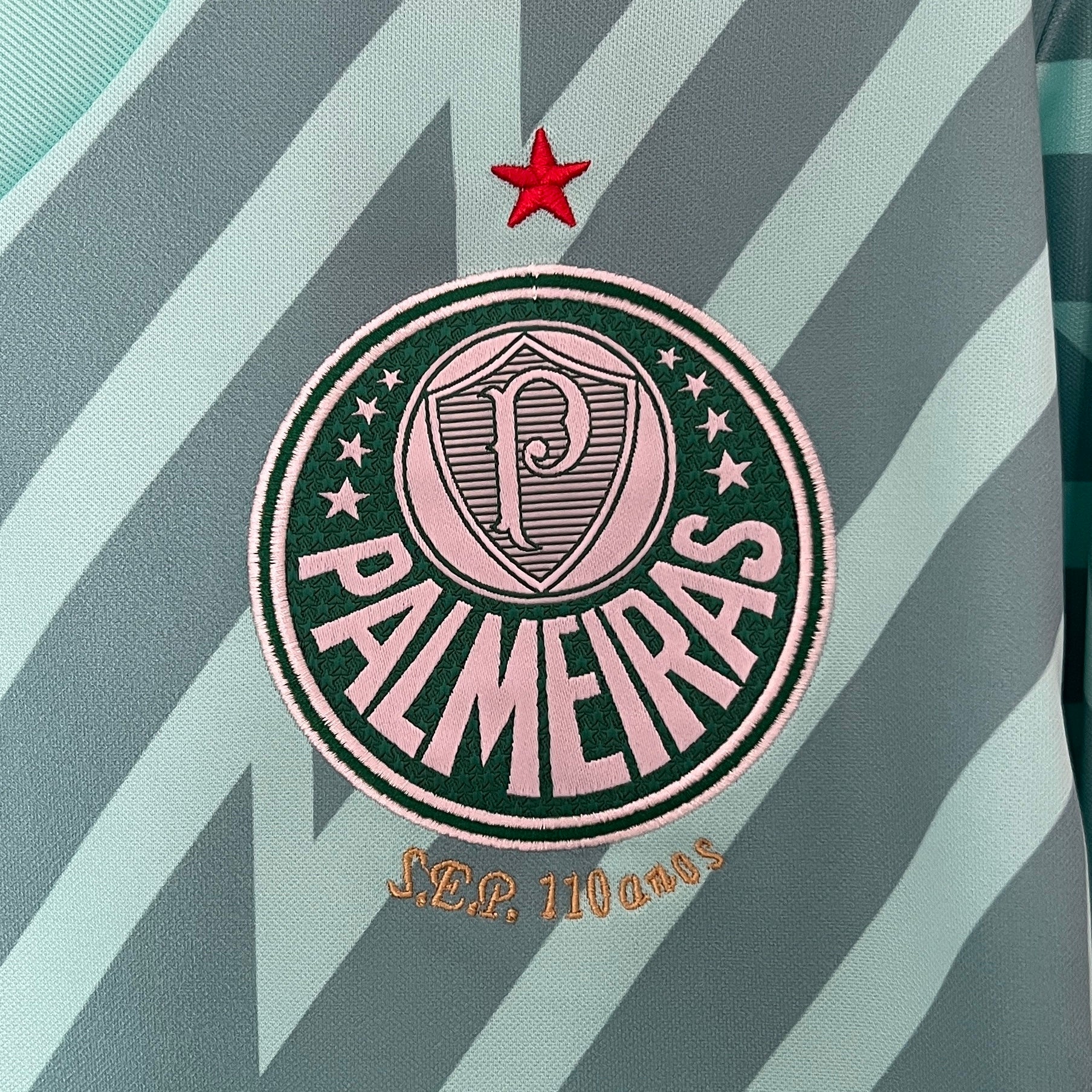 Camisa Palmeiras Goleiro 24/25 Puma - Torcedor